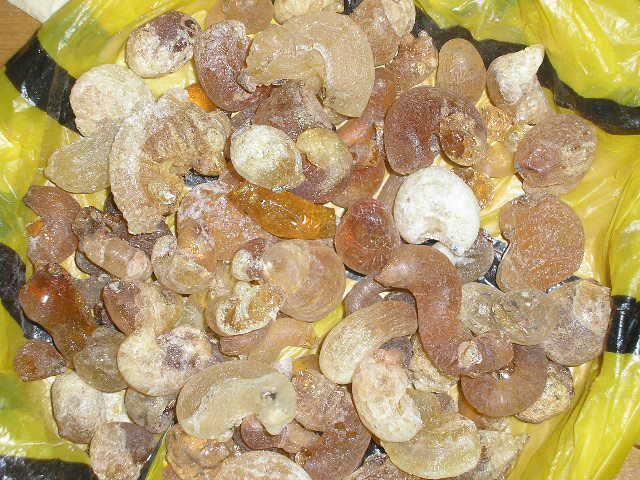 arabic gum, gum arabic, arabic gum powder