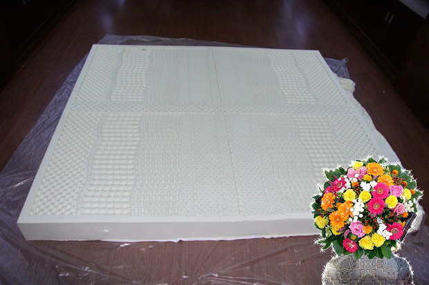 latex  mattress