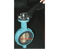 Butt-clamping(Glue-lined)Desulfurizing Butterfly Valve