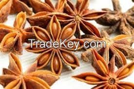 Star Aniseed OFFER