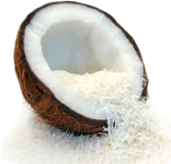  Defatted Dessicated Coconut Powder