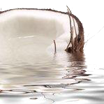  Coconut Water Vinegar