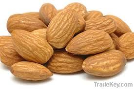 Almond Nuts