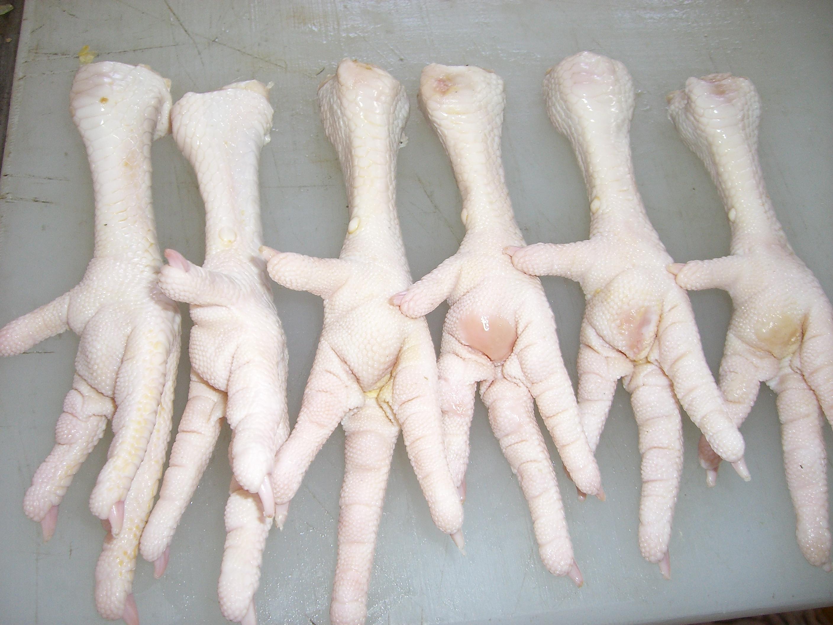 High Quality A-Grade Frozen Chicken Feet