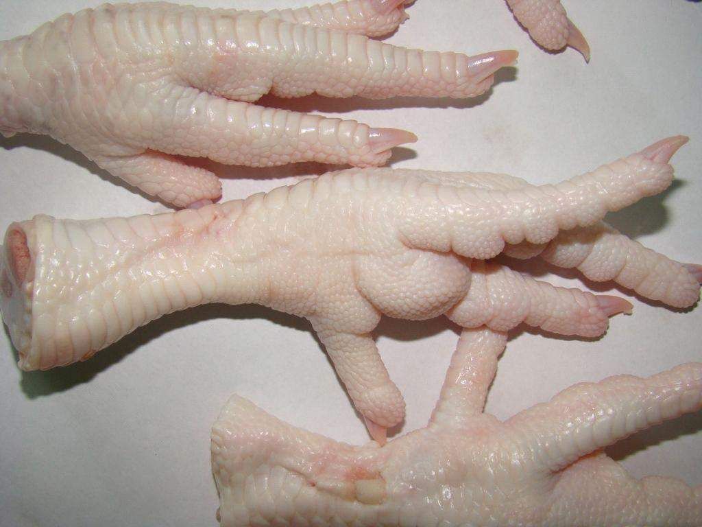 Frozen Chicken feet and Paws ( A grade)