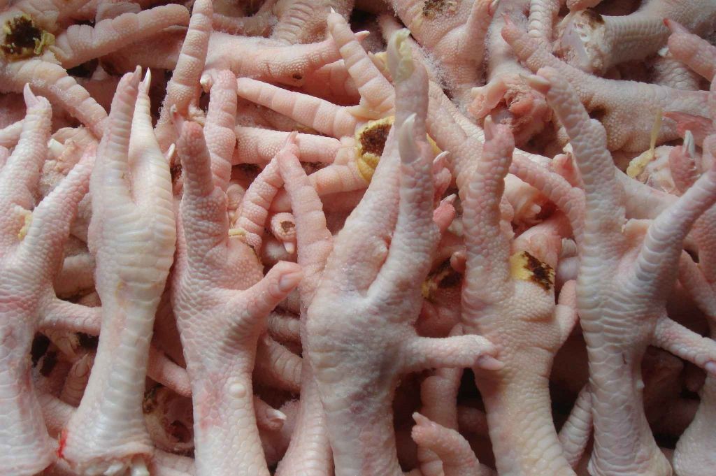 Frozen Chicken Feet