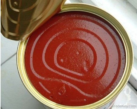 tasty canned tomato paste sauce
