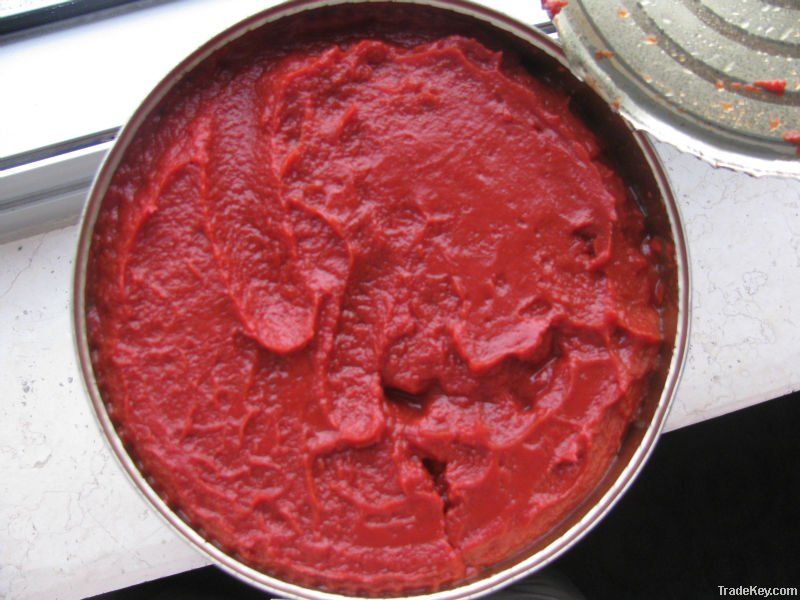 Wholesale tomato paste sauce