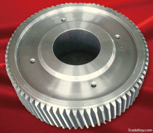 Spur Gear