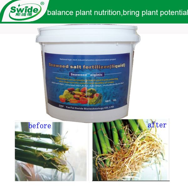 Liquid seaweed extract fertilizer