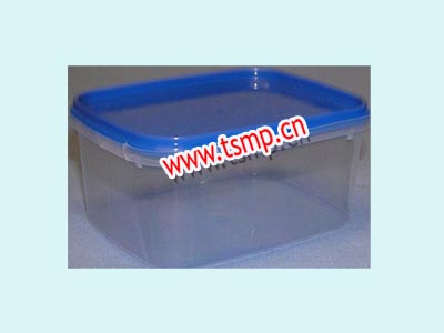 pp container molds