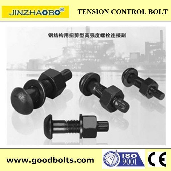 Tension control bolt/tor shear type bolt