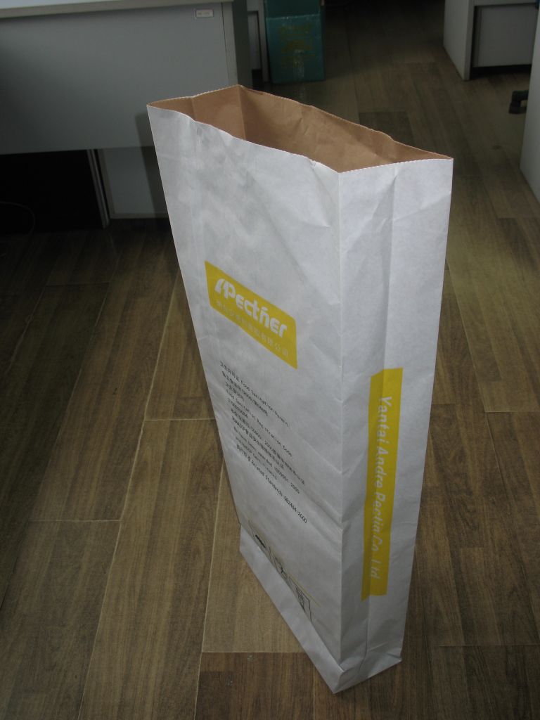 craft paper bag