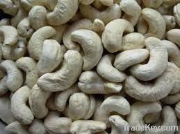 Cashew Nut