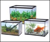Aquarium In Sets