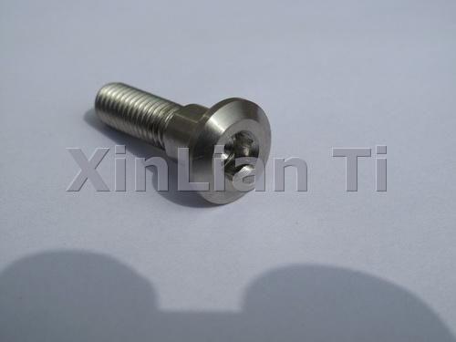 Titanium fastener