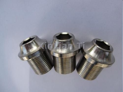 Titanium fastener