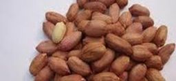 Roasted Peanuts