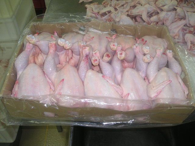 Frozen whole chicken without A grade