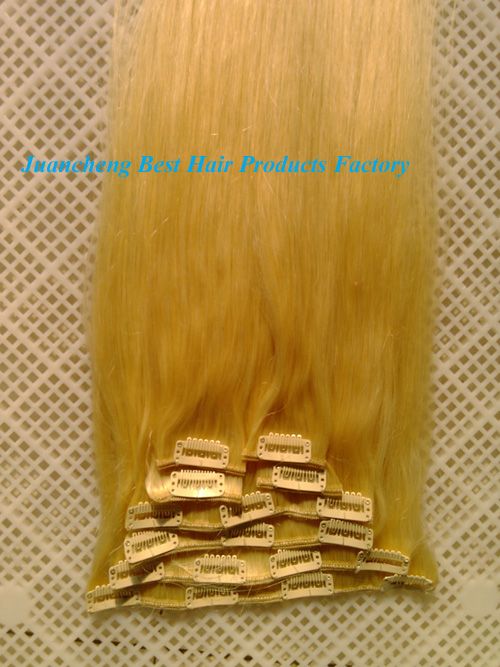 wholesale grade 5a cheap 100% virgin brazilian hair clip in hair extension