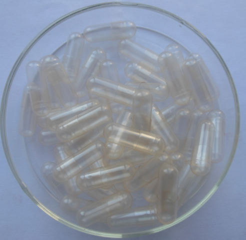 Transparent Empty capsules