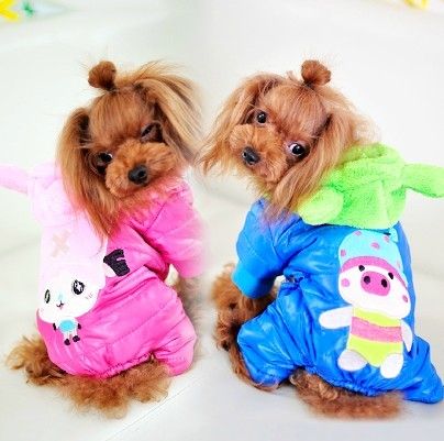 fashionable lovable pet apparel pet clothes