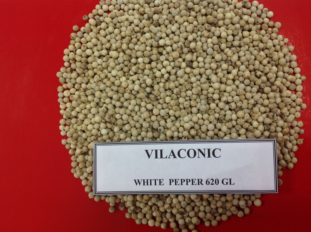 White Pepper