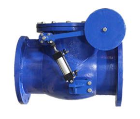 Swing Check Valve