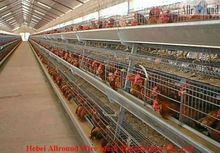 ommericalÂ Broiler Chicken Battery Cage