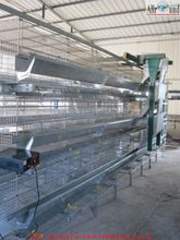 intensive style Frame Laying Hen Cage