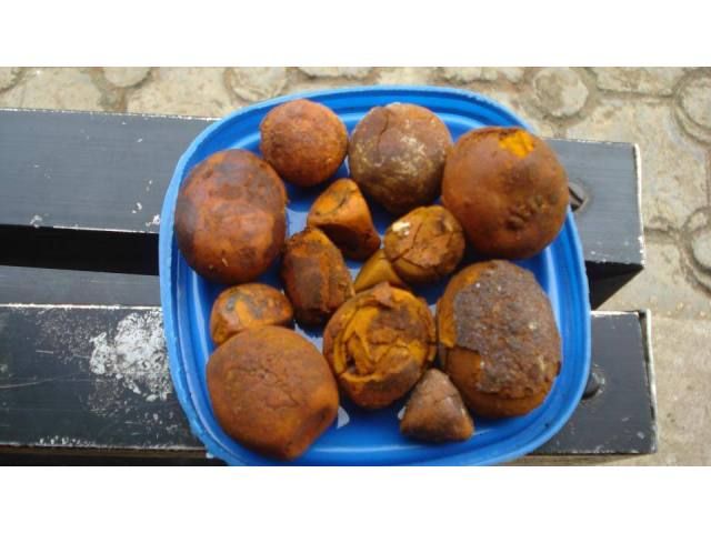 COW GALLSTONE