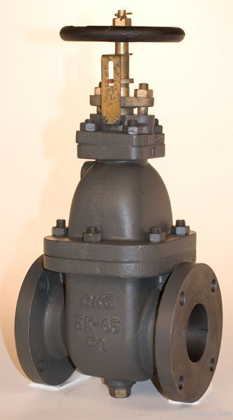 marine cast iron gate valves JIS F7363 5K-65