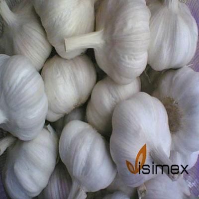 White garlic