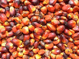 REFINED RBD PALM OIL