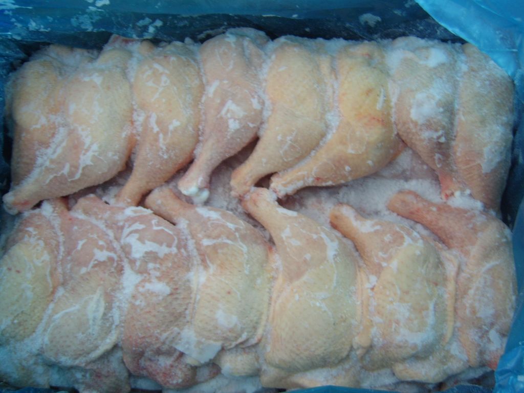 Frozen Chicken and Turkey in Stock