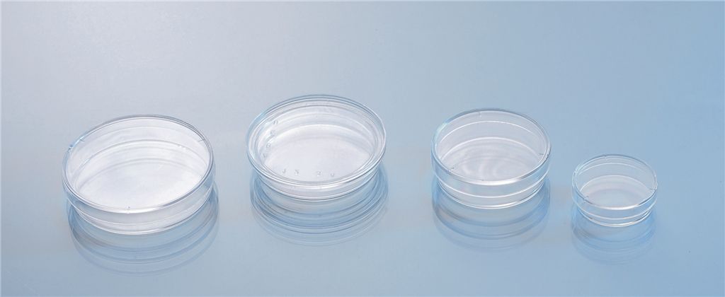 50*15mm Petri-dish mould