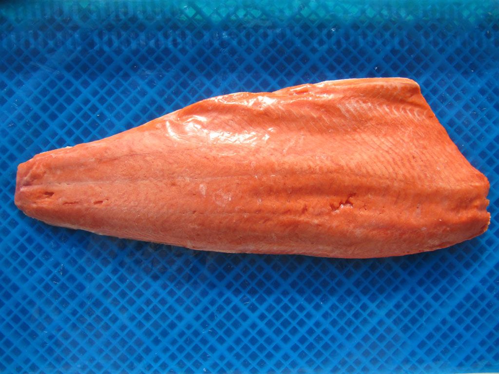 Chum Salmon Fillet