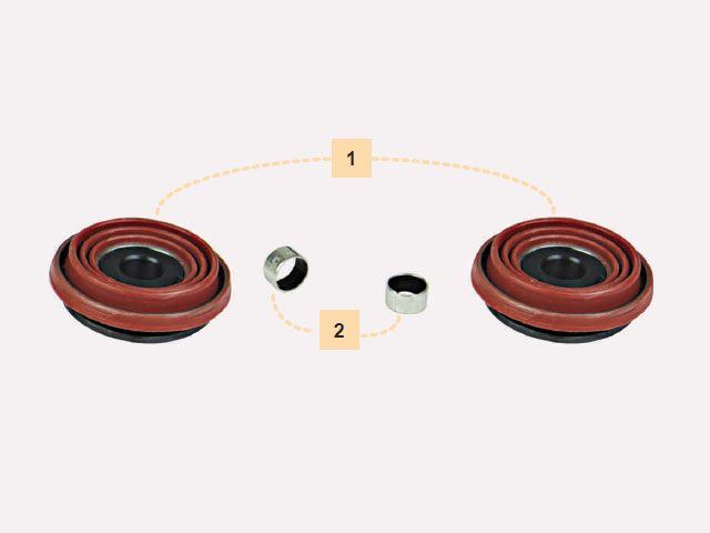 Caliper Tappet Set