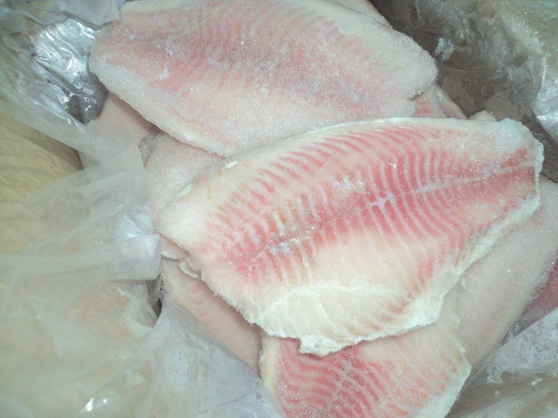 hot sale frozen tilapia fillet, whole and round tilapia, gutted tilapia