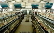 Broiler rearing cage
