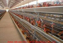 Chicken Battery Layer Cage Poultry Farm