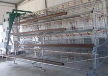 Chicken Battery Layer Cage Poultry Farm