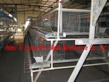 Chicken Battery Layer Cage Poultry Farm