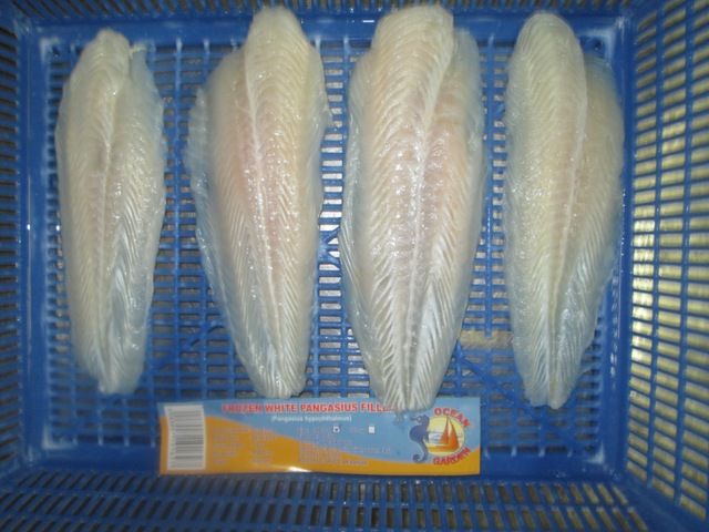 Pangasius