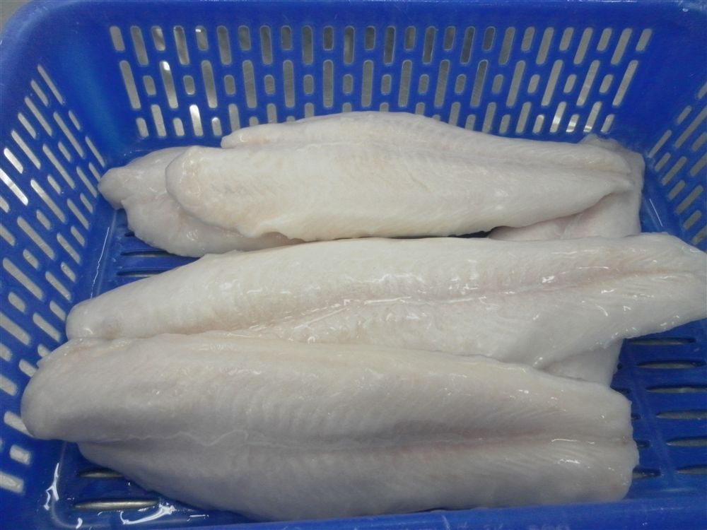 HIGH QUALITY OF FROZEN PANGASIUS FILLET FOR SALES