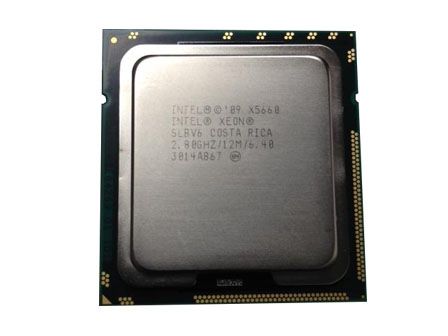 Server Processor, Xeon or Opteron
