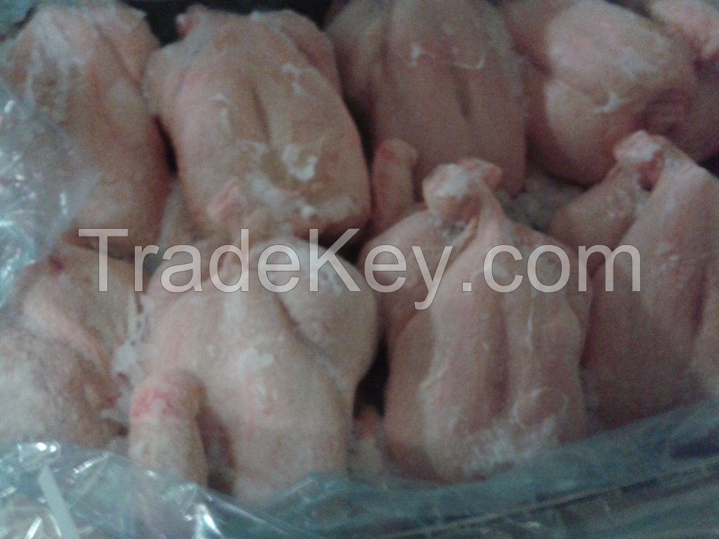 frozen whole halal chicken 