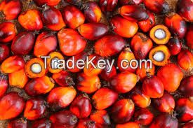 Refined Sunflower Oil and Palm Oil Producer