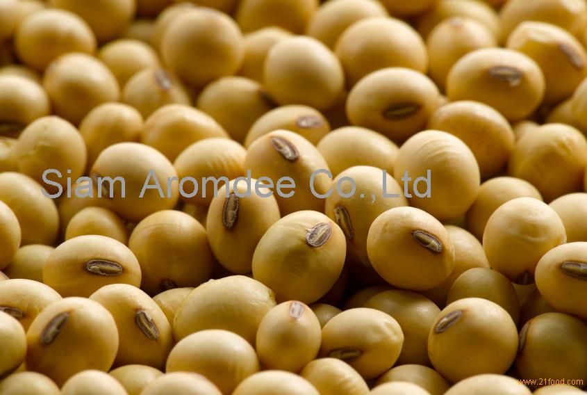 Preserved Soybean / Non GMO Soybean