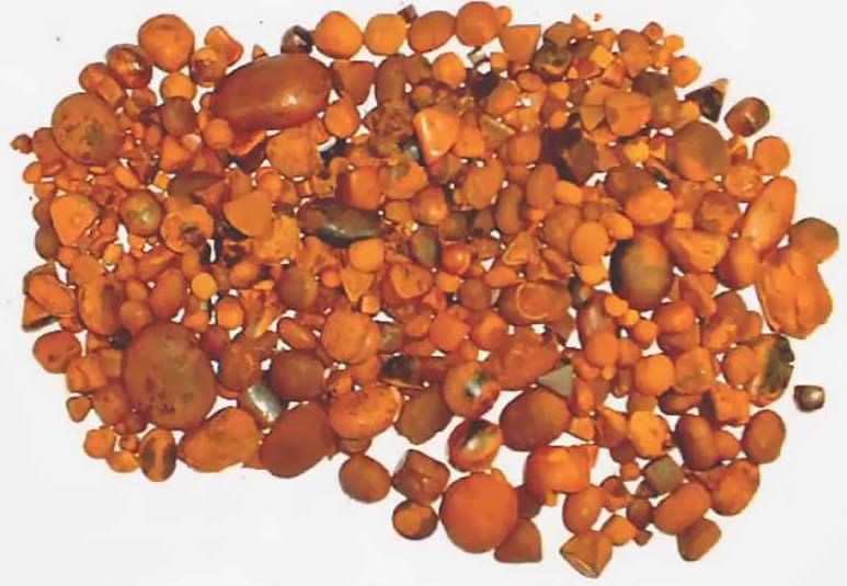 cattle & Ox gallstone